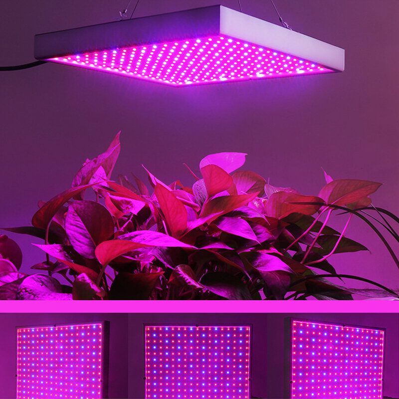Ac85-265v 60w 289 Led Svjetiljka Za Uzgoj Svjetiljke Za Sobne Biljke Povrća